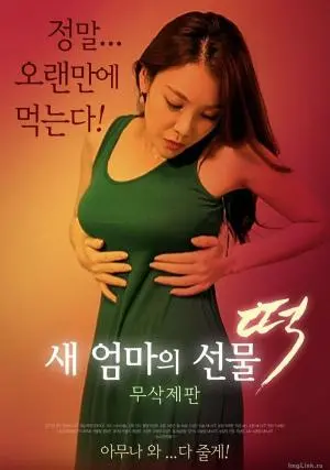 新妈妈的礼物：年糕 海报