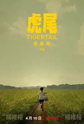 《虎尾》：一场关于乡愁与身份认同的寻根之旅，李安之后又一华人导演力作？