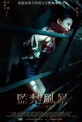 《监禁风暴》：铁窗下的挣扎与希望，一部关于自由与救赎的震撼之作！