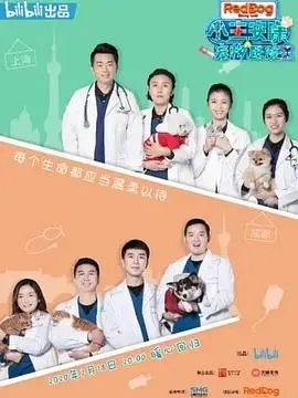 《小主安康－宠物医院2》：萌宠治愈力爆棚！一场关于信任与救赎的温暖之旅。